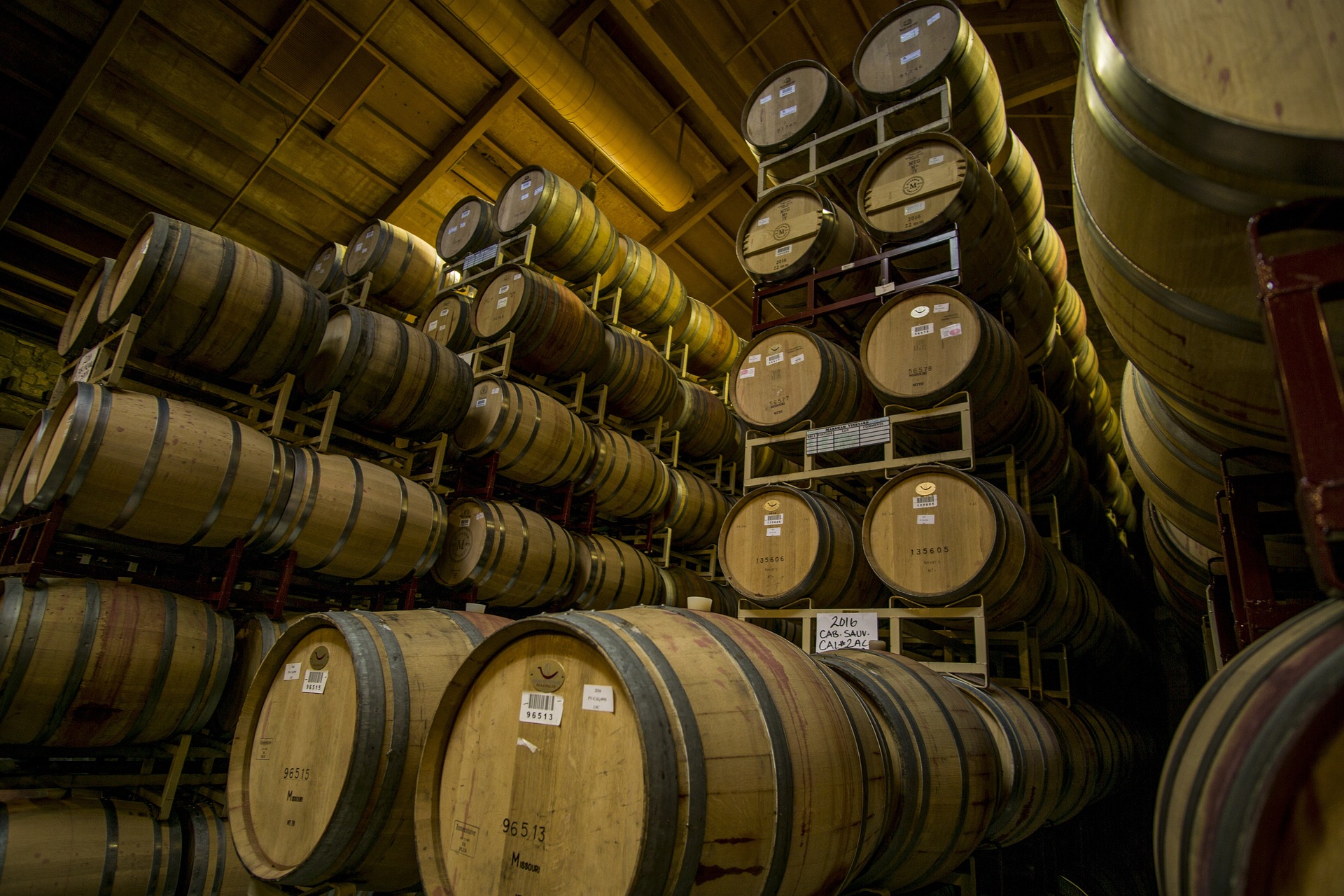 Wine Cellar