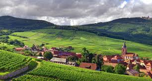 Wine Tourism: Must-Visit Vineyards Around the World
